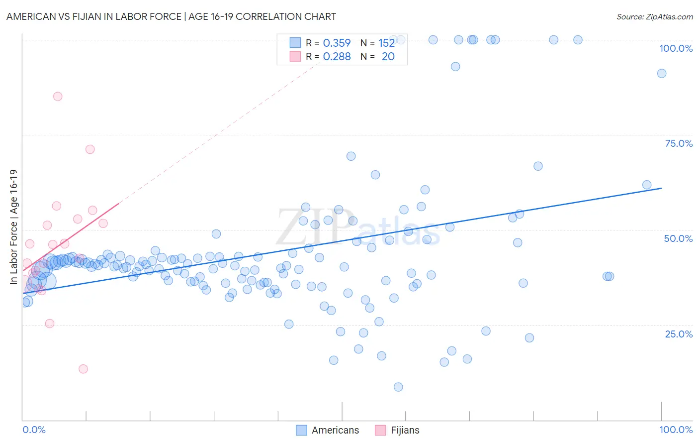 American vs Fijian In Labor Force | Age 16-19