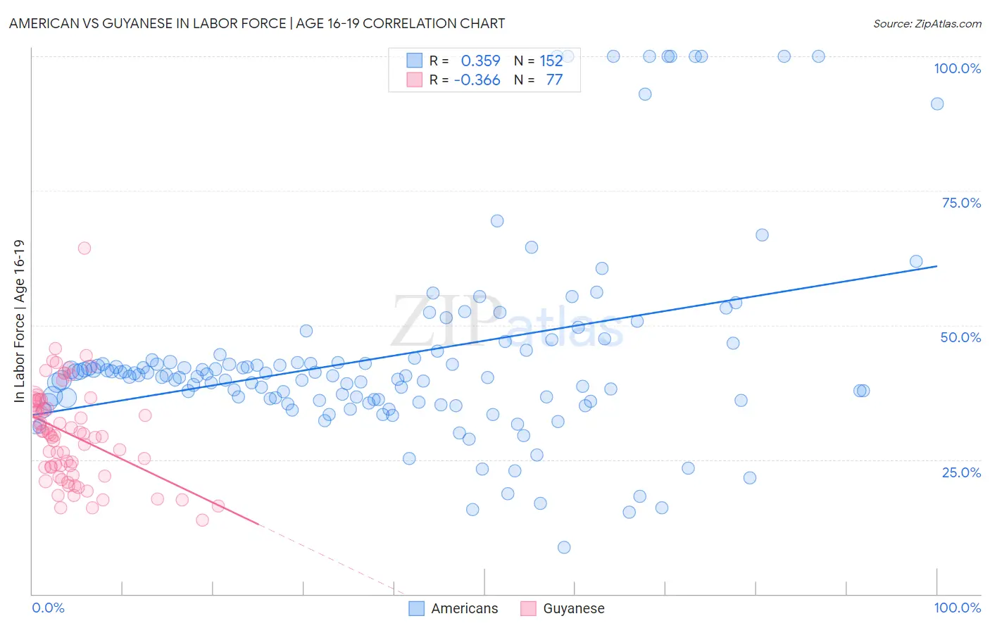 American vs Guyanese In Labor Force | Age 16-19