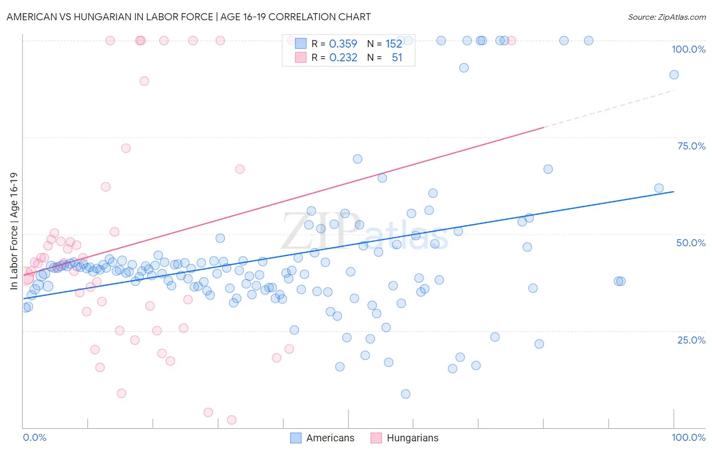 American vs Hungarian In Labor Force | Age 16-19