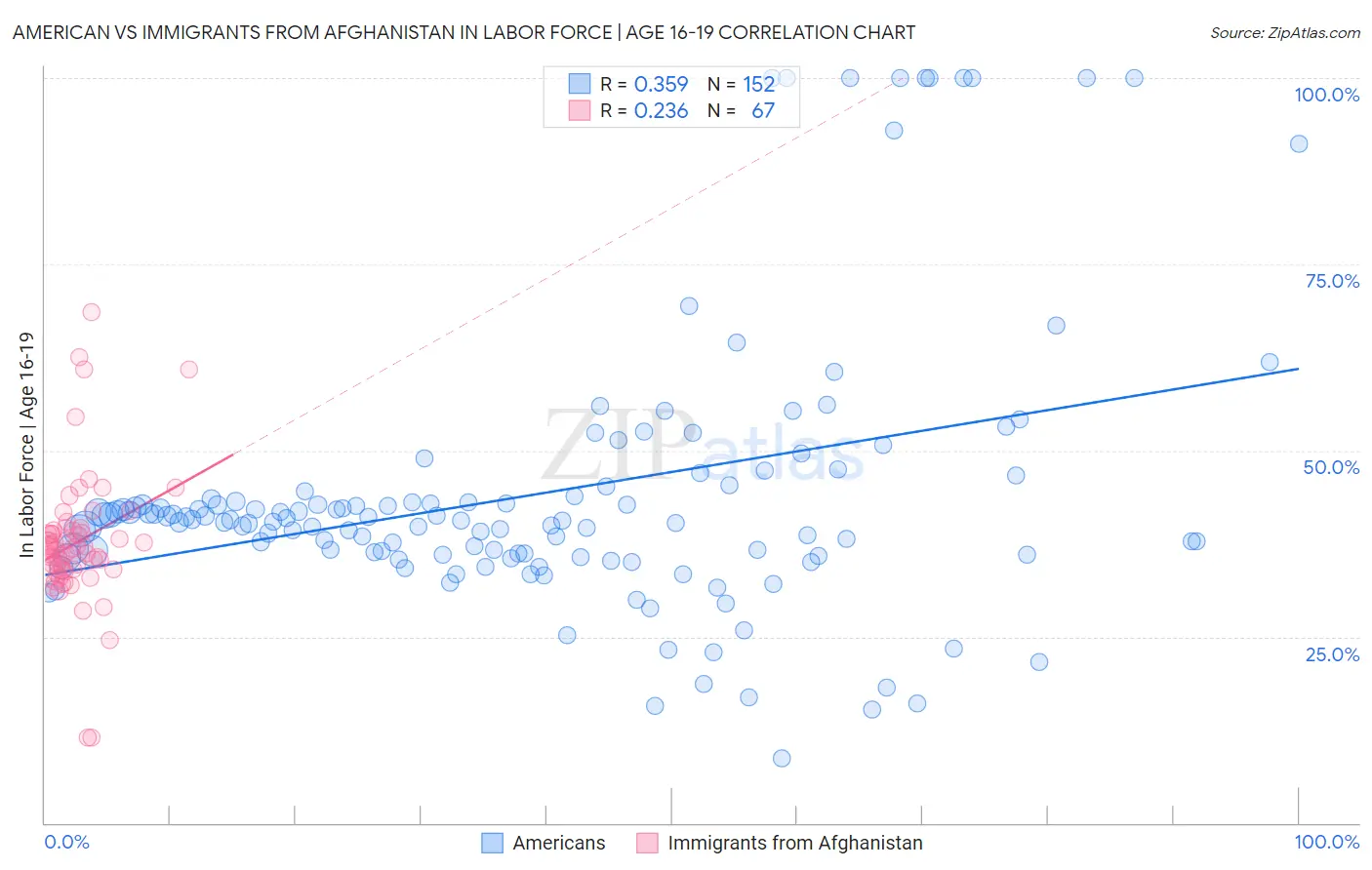 American vs Immigrants from Afghanistan In Labor Force | Age 16-19