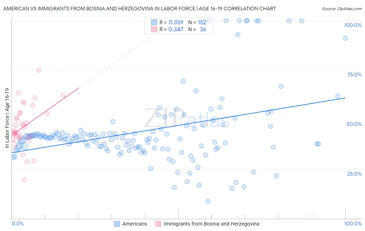 American vs Immigrants from Bosnia and Herzegovina In Labor Force | Age 16-19