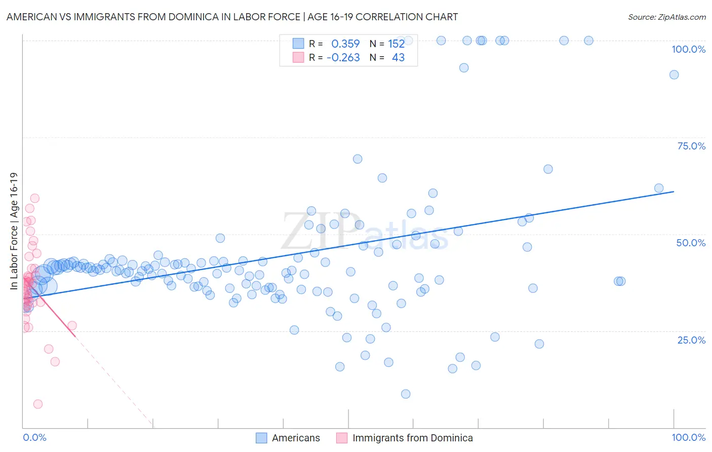 American vs Immigrants from Dominica In Labor Force | Age 16-19