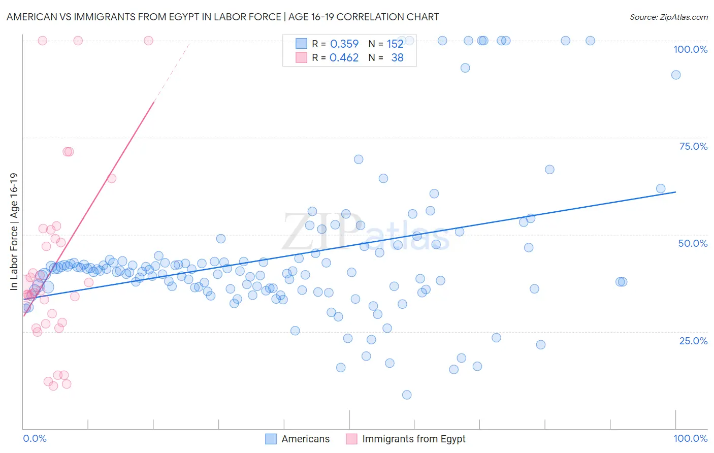 American vs Immigrants from Egypt In Labor Force | Age 16-19