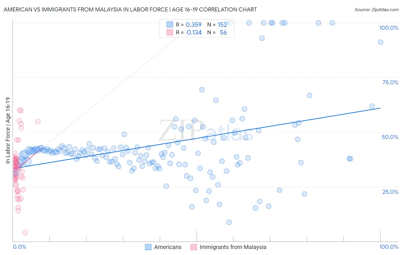 American vs Immigrants from Malaysia In Labor Force | Age 16-19