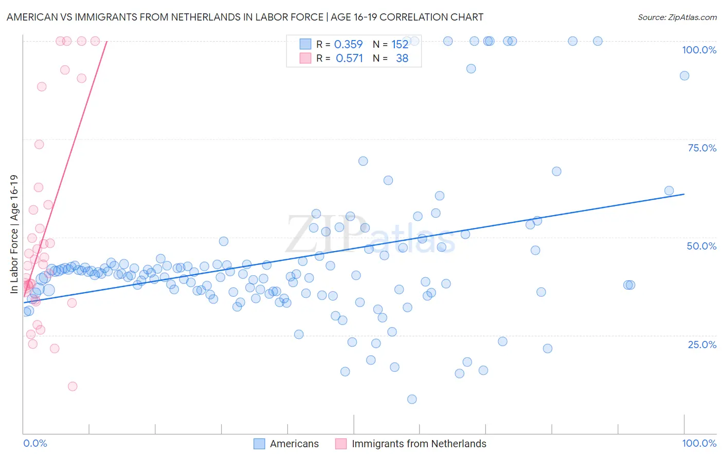 American vs Immigrants from Netherlands In Labor Force | Age 16-19