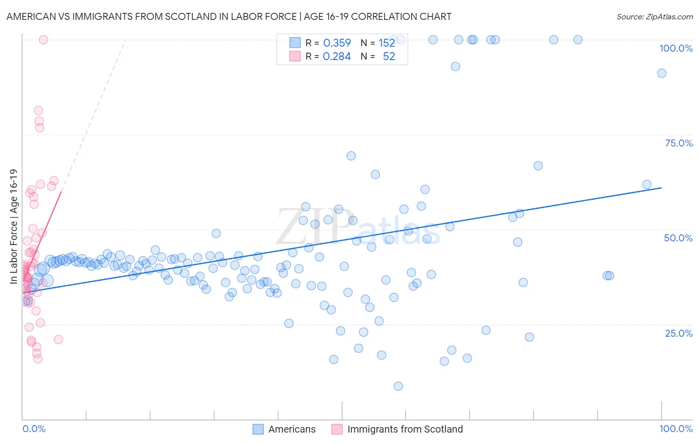 American vs Immigrants from Scotland In Labor Force | Age 16-19