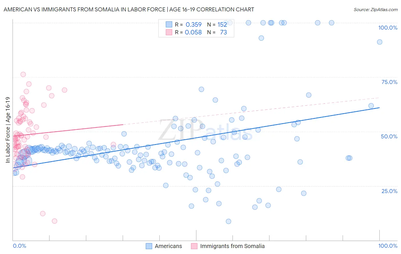 American vs Immigrants from Somalia In Labor Force | Age 16-19