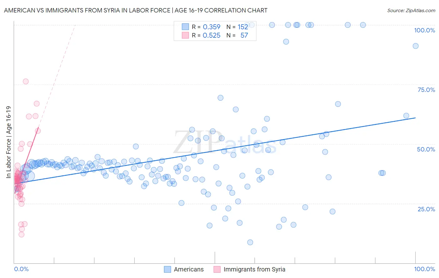 American vs Immigrants from Syria In Labor Force | Age 16-19