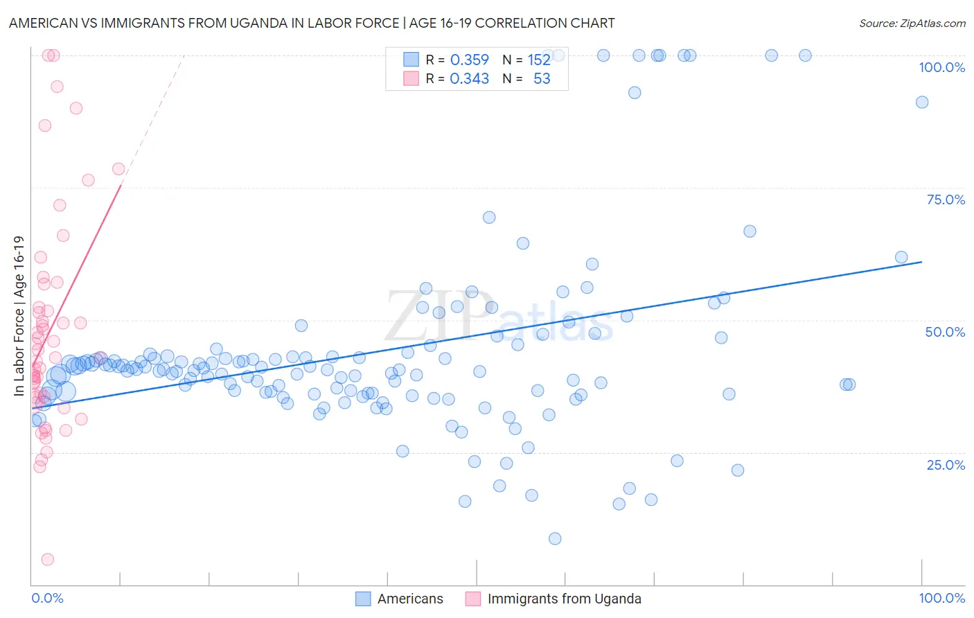 American vs Immigrants from Uganda In Labor Force | Age 16-19