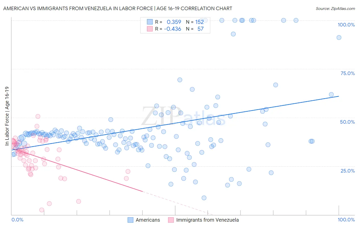 American vs Immigrants from Venezuela In Labor Force | Age 16-19