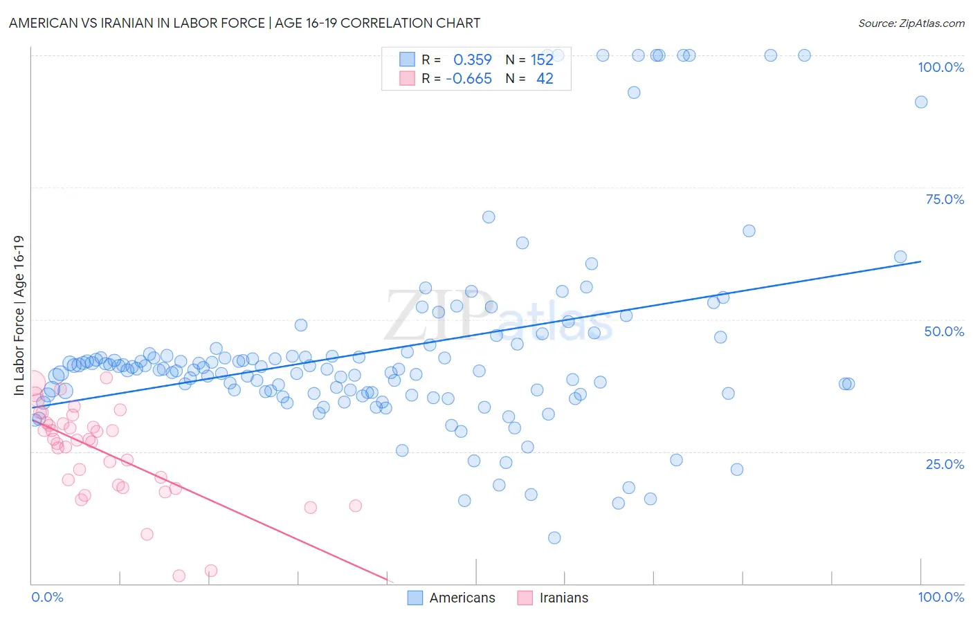 American vs Iranian In Labor Force | Age 16-19