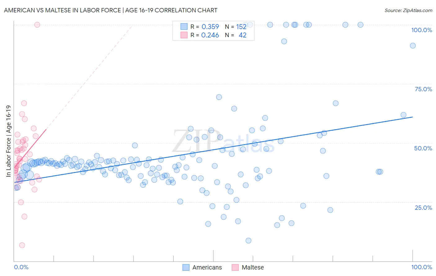American vs Maltese In Labor Force | Age 16-19