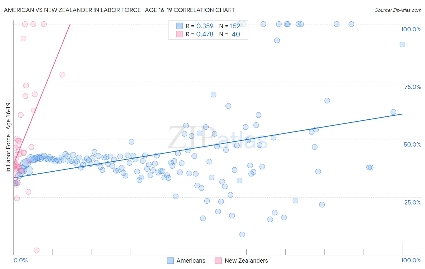 American vs New Zealander In Labor Force | Age 16-19