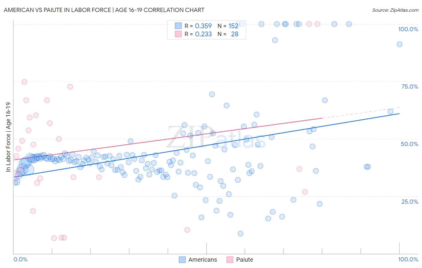 American vs Paiute In Labor Force | Age 16-19