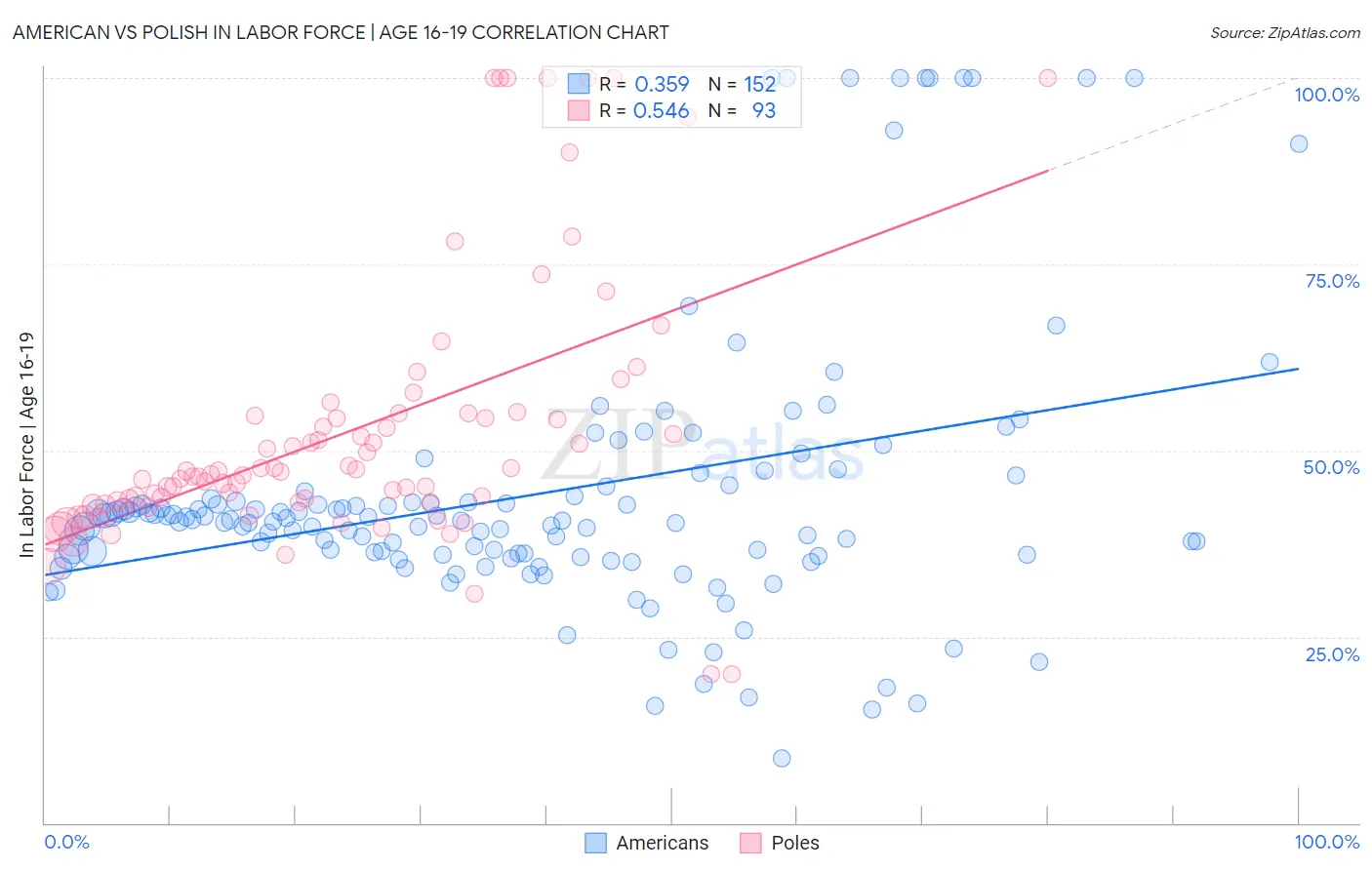 American vs Polish In Labor Force | Age 16-19