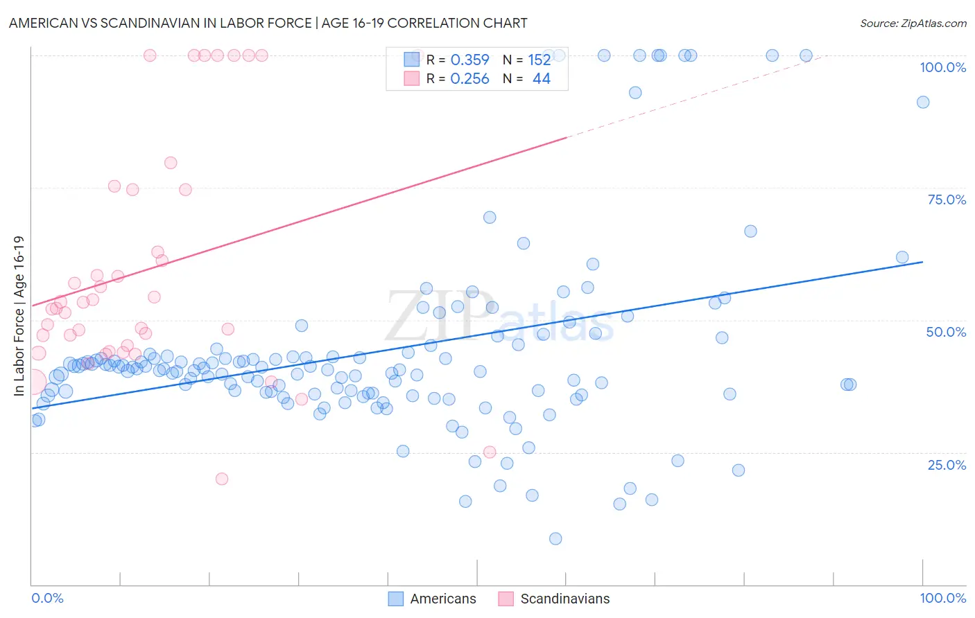 American vs Scandinavian In Labor Force | Age 16-19