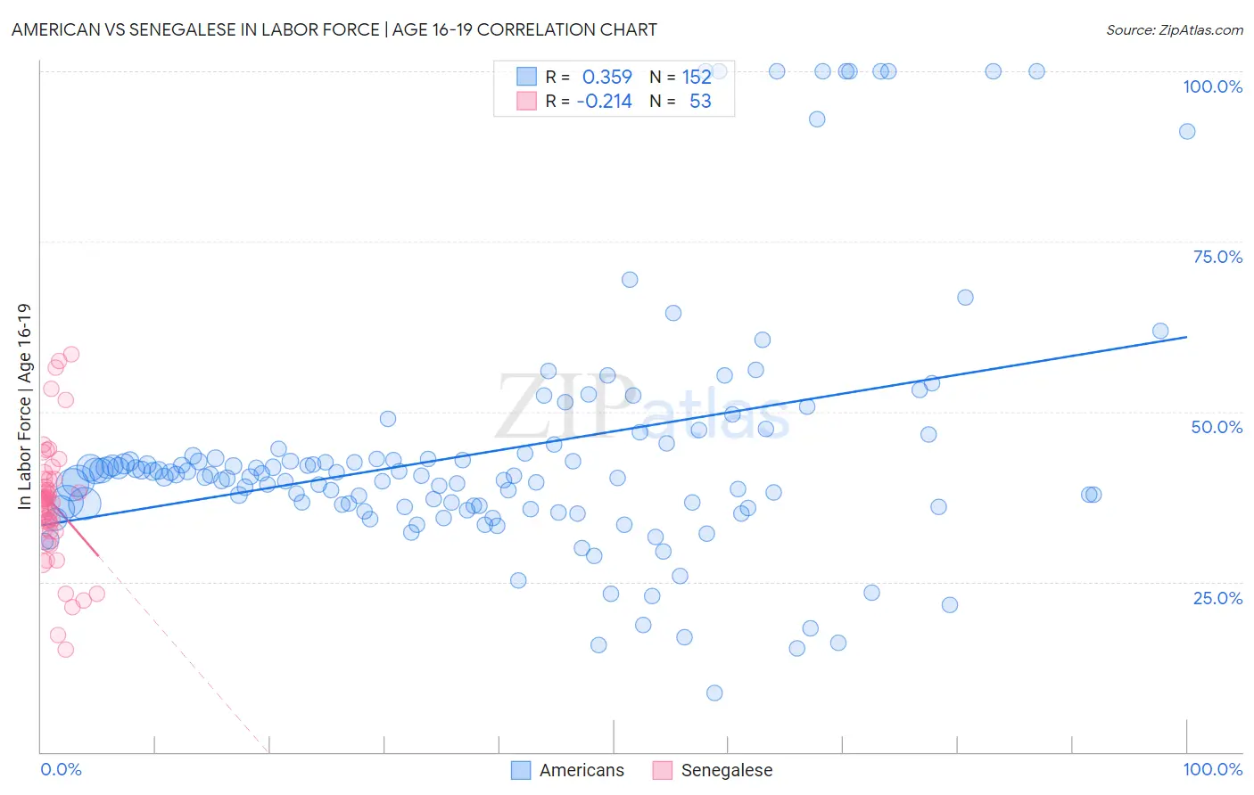 American vs Senegalese In Labor Force | Age 16-19