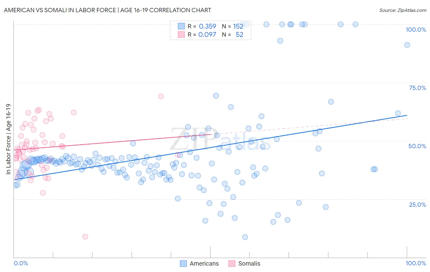 American vs Somali In Labor Force | Age 16-19