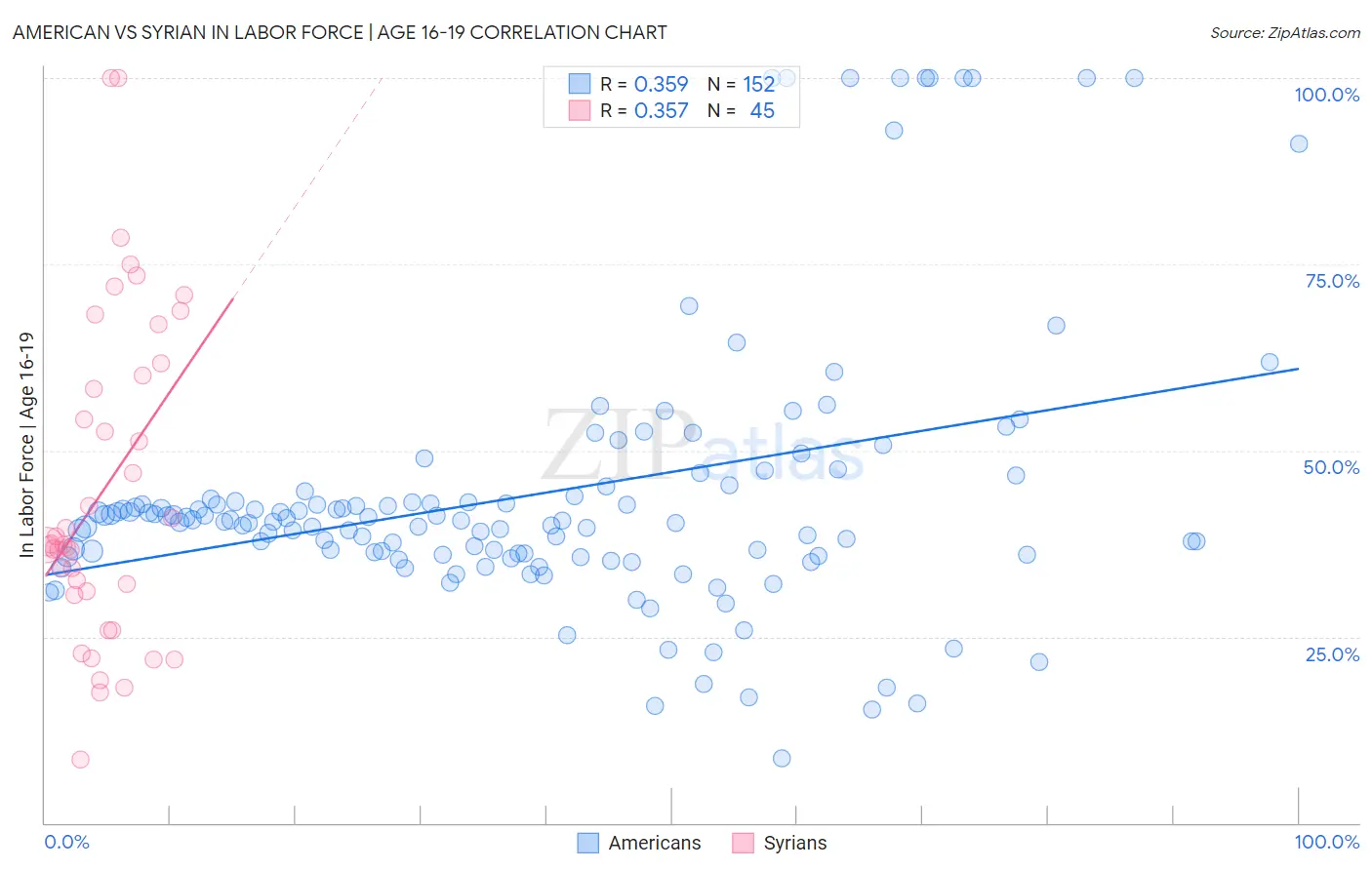 American vs Syrian In Labor Force | Age 16-19