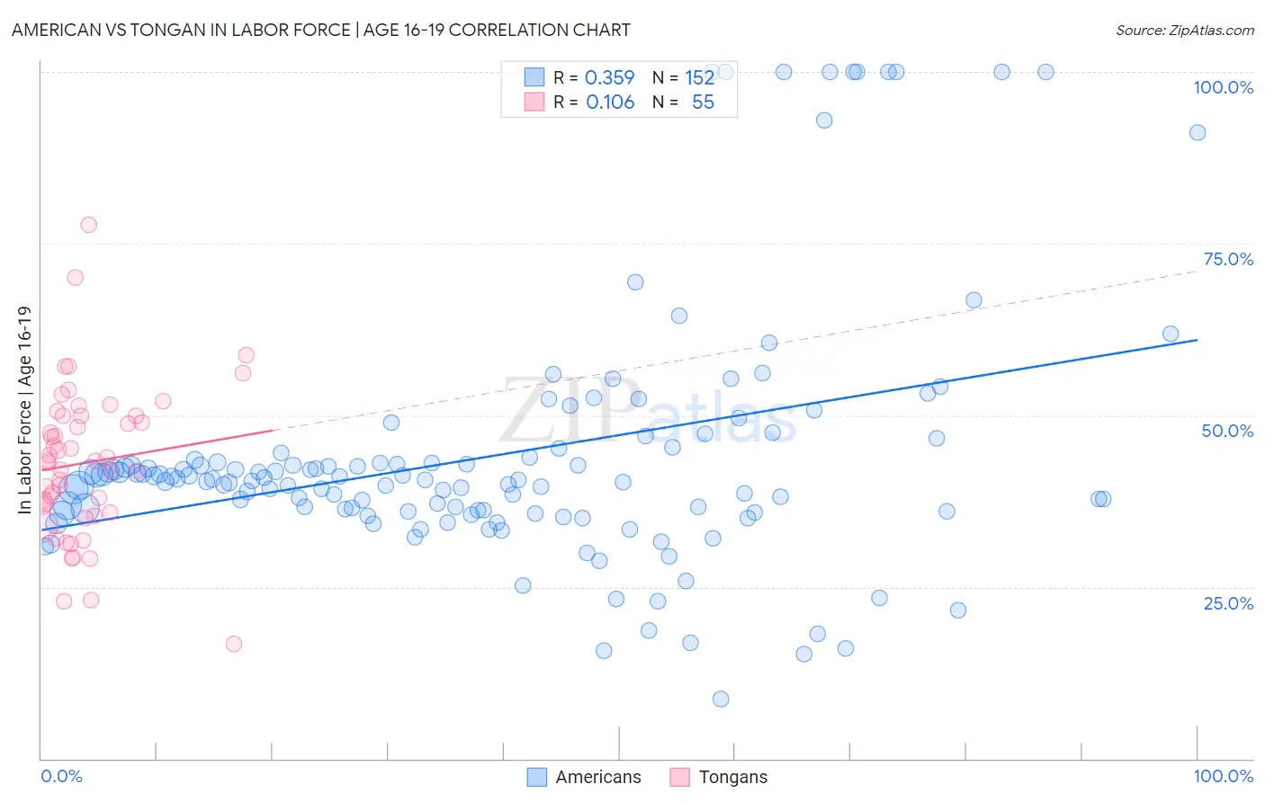 American vs Tongan In Labor Force | Age 16-19