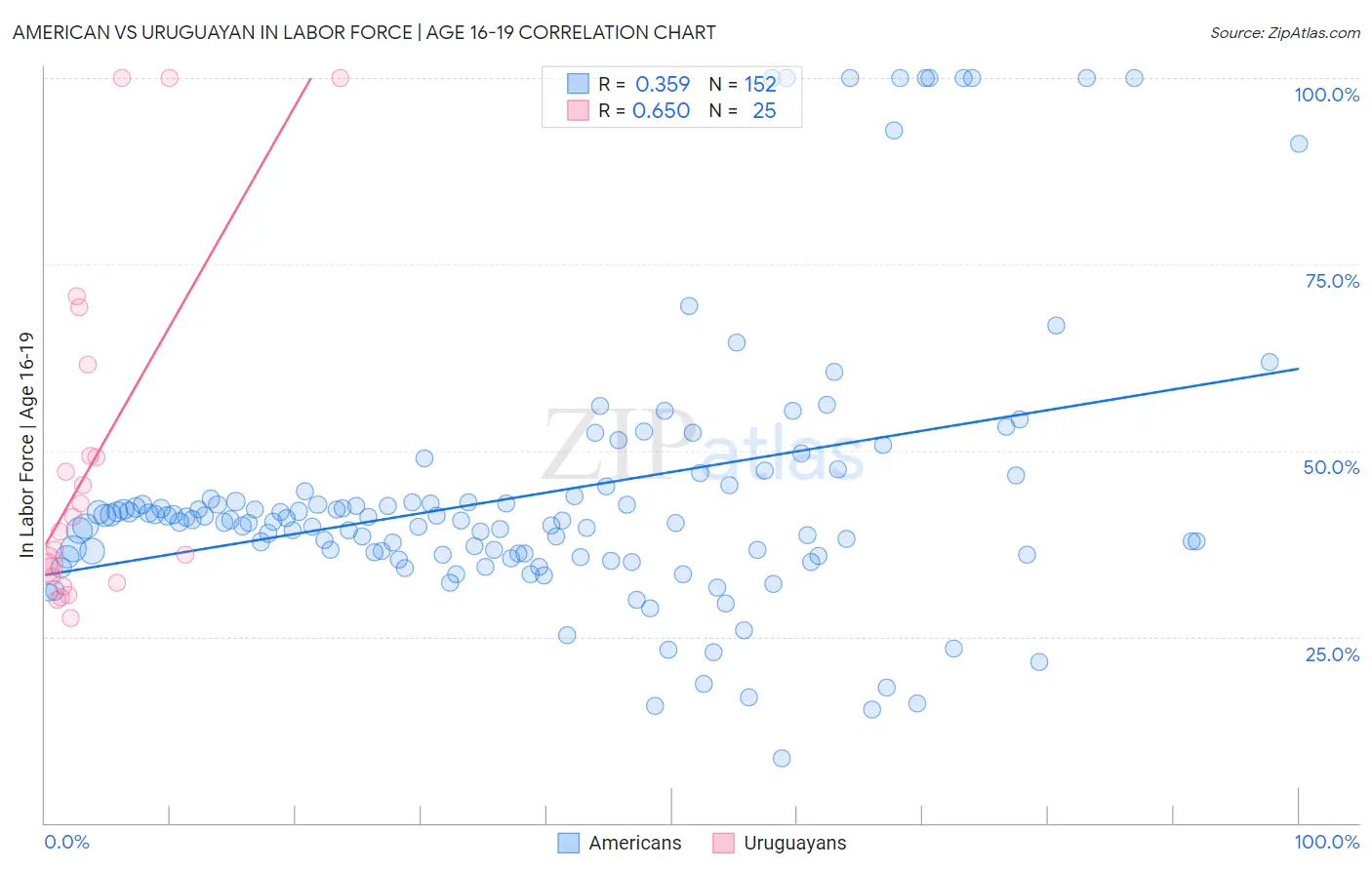 American vs Uruguayan In Labor Force | Age 16-19