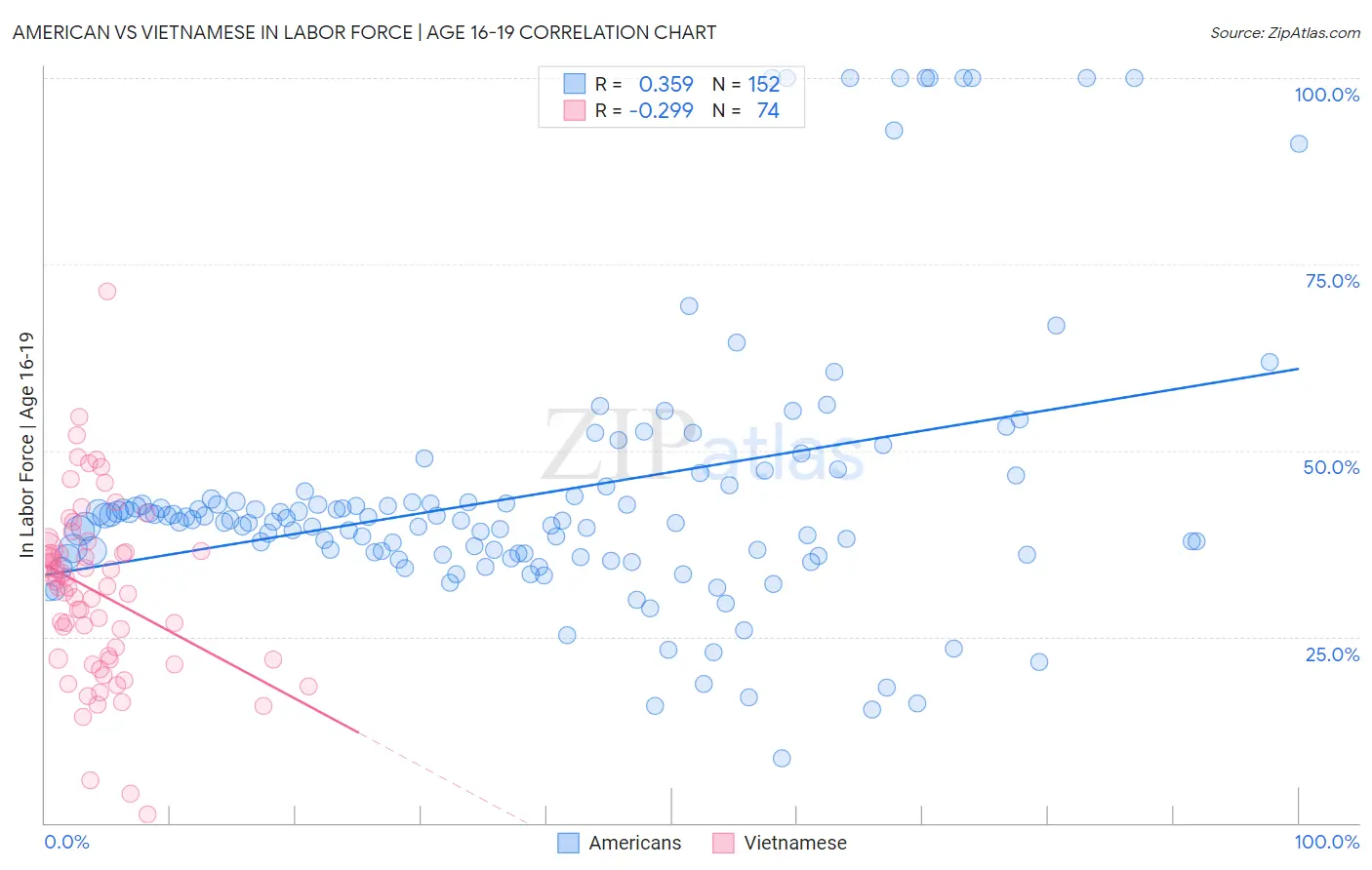 American vs Vietnamese In Labor Force | Age 16-19