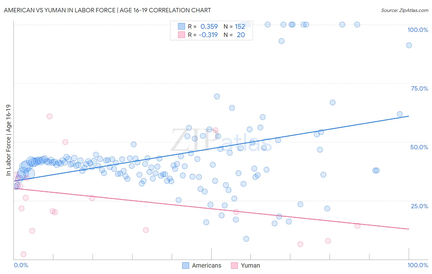 American vs Yuman In Labor Force | Age 16-19