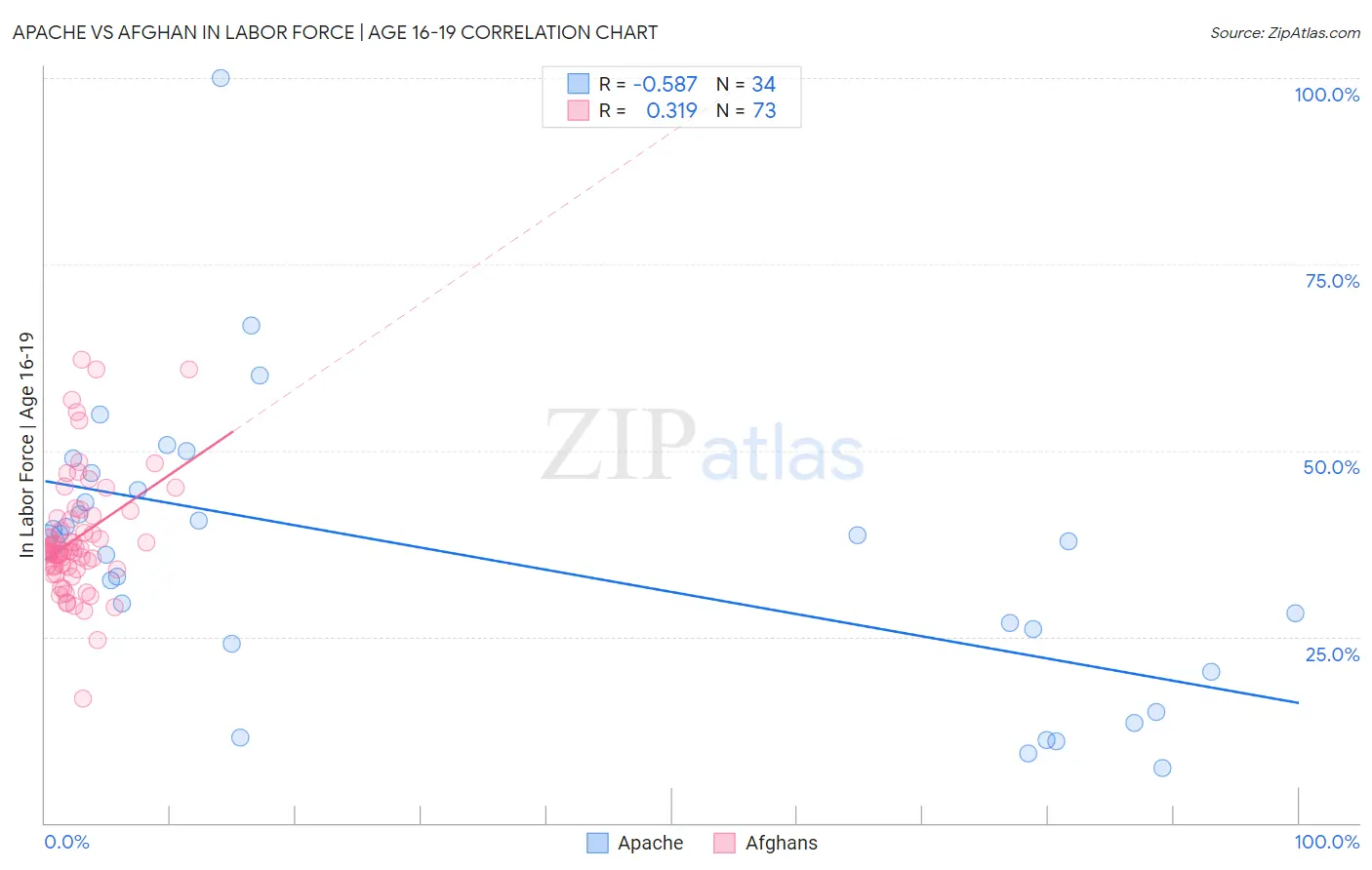 Apache vs Afghan In Labor Force | Age 16-19