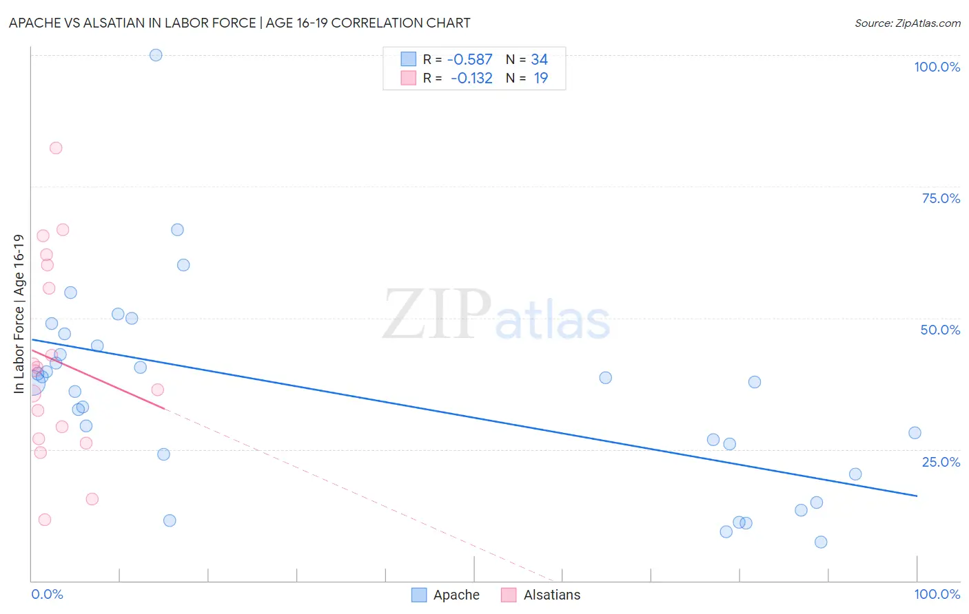 Apache vs Alsatian In Labor Force | Age 16-19