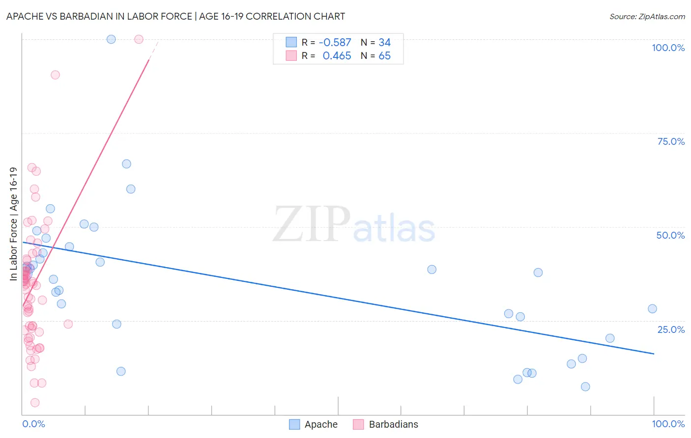 Apache vs Barbadian In Labor Force | Age 16-19