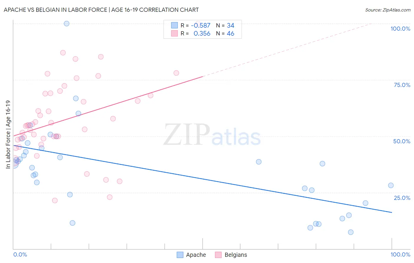 Apache vs Belgian In Labor Force | Age 16-19