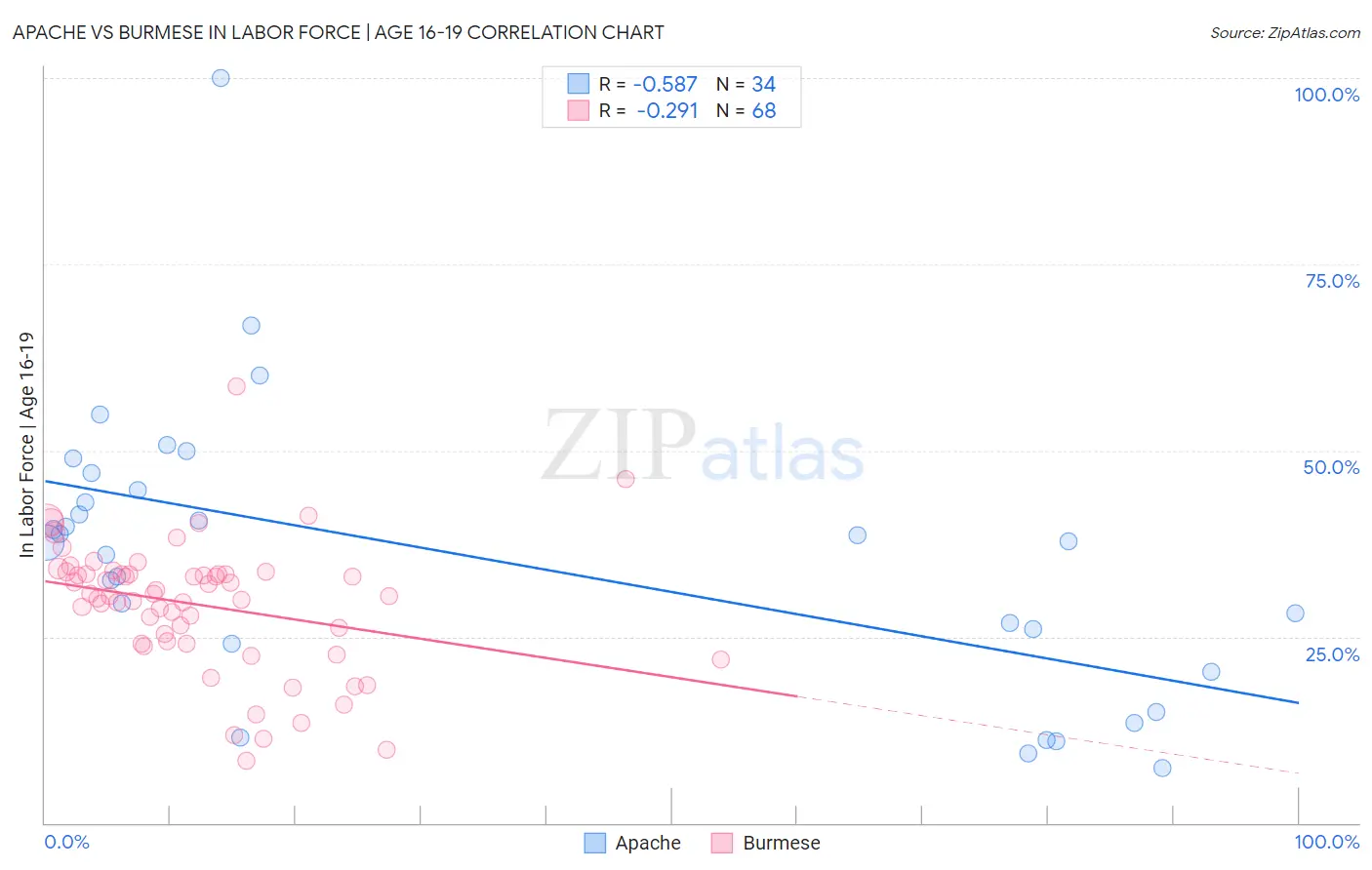 Apache vs Burmese In Labor Force | Age 16-19