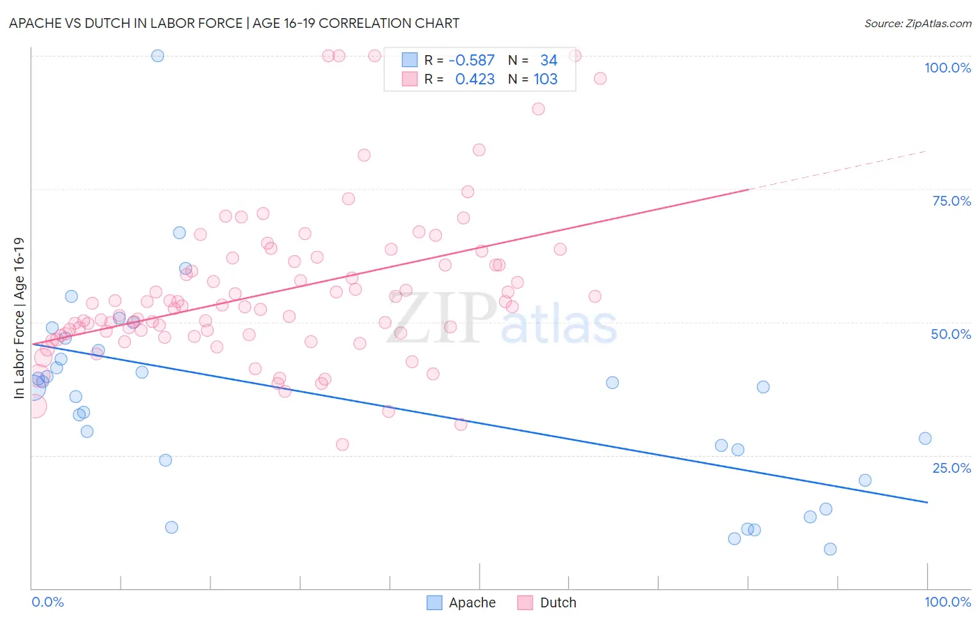 Apache vs Dutch In Labor Force | Age 16-19