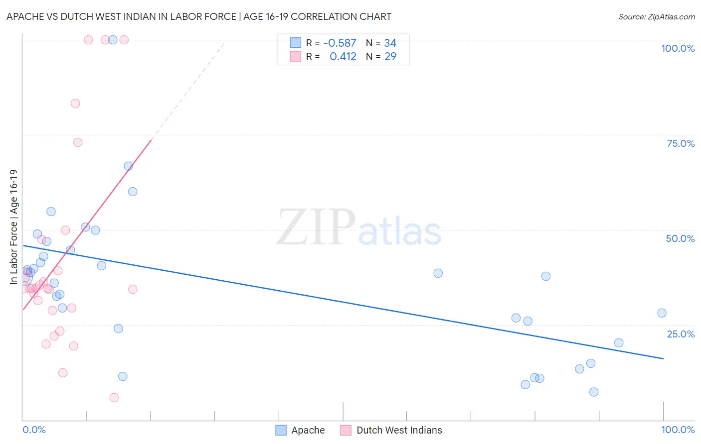 Apache vs Dutch West Indian In Labor Force | Age 16-19
