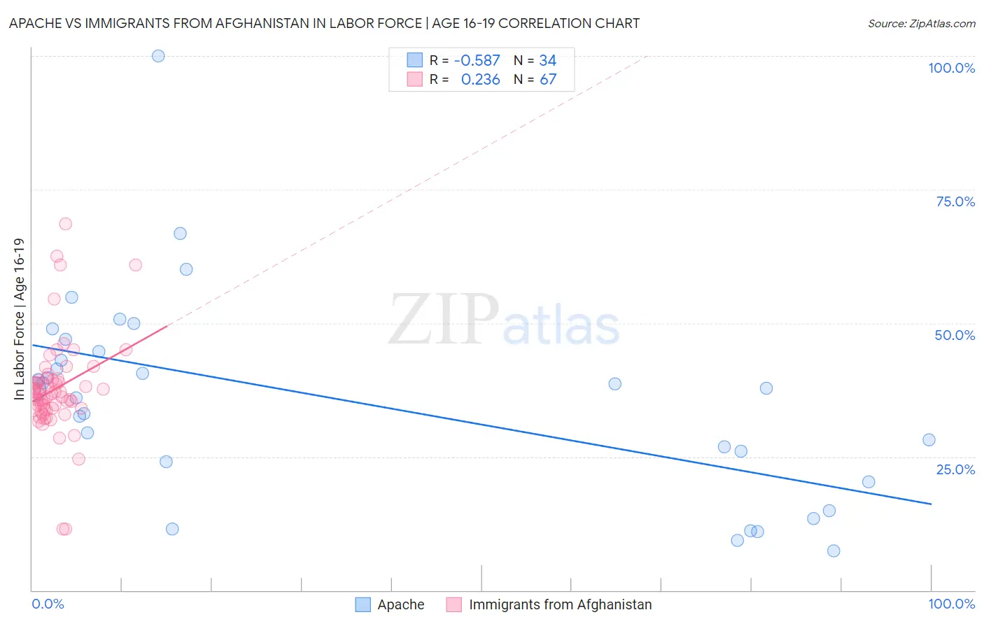 Apache vs Immigrants from Afghanistan In Labor Force | Age 16-19