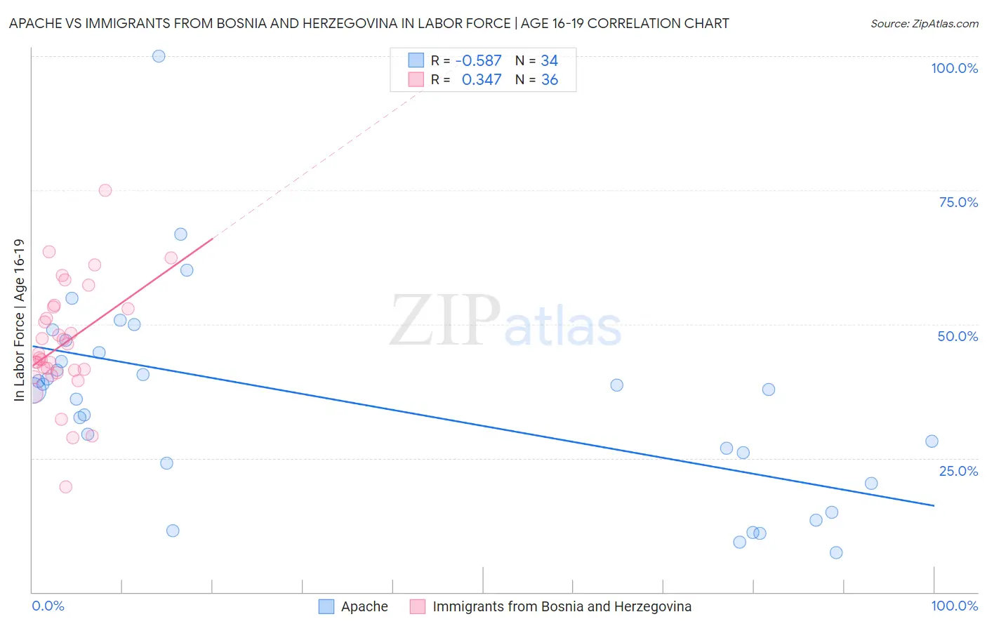 Apache vs Immigrants from Bosnia and Herzegovina In Labor Force | Age 16-19