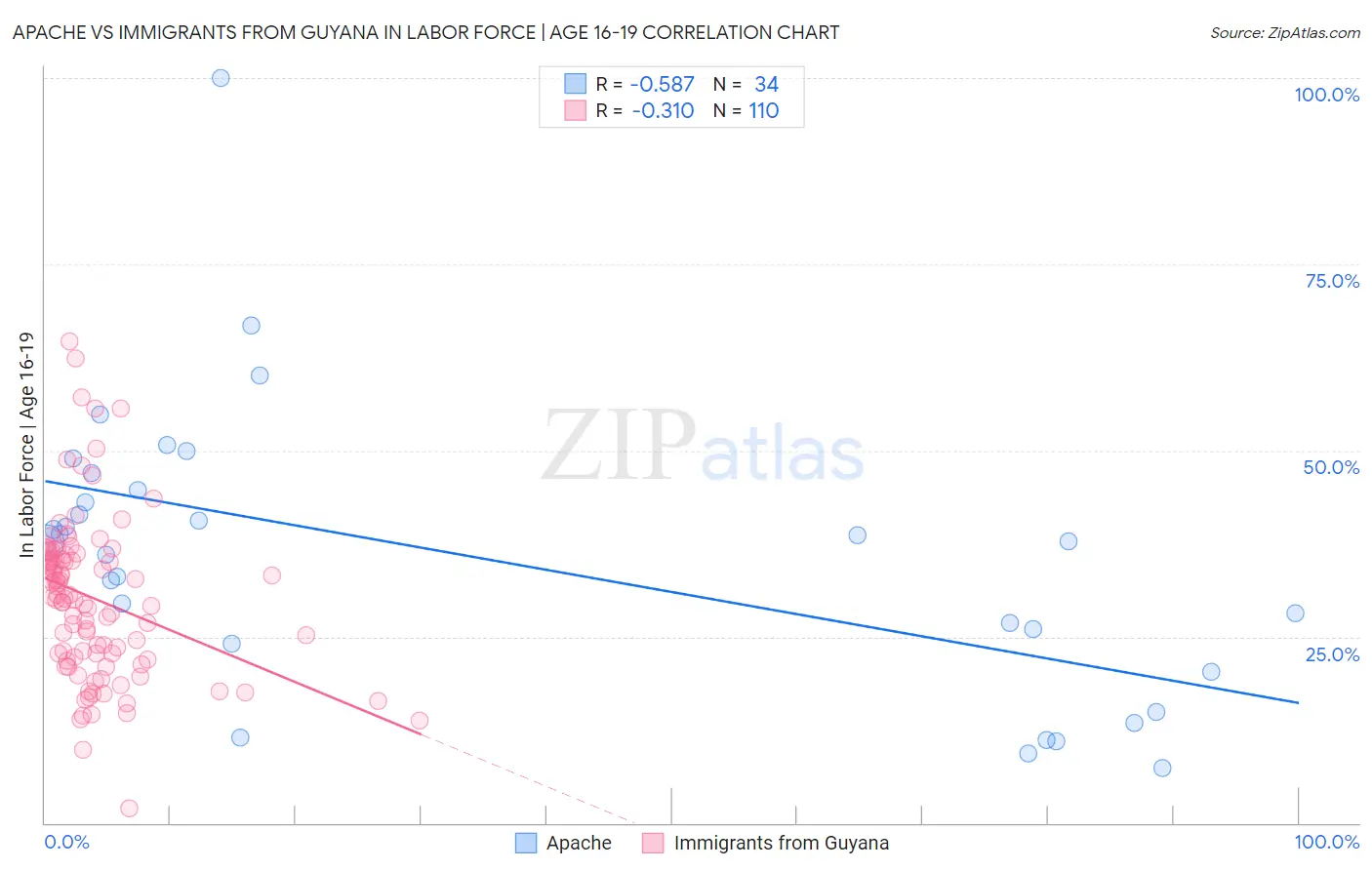 Apache vs Immigrants from Guyana In Labor Force | Age 16-19