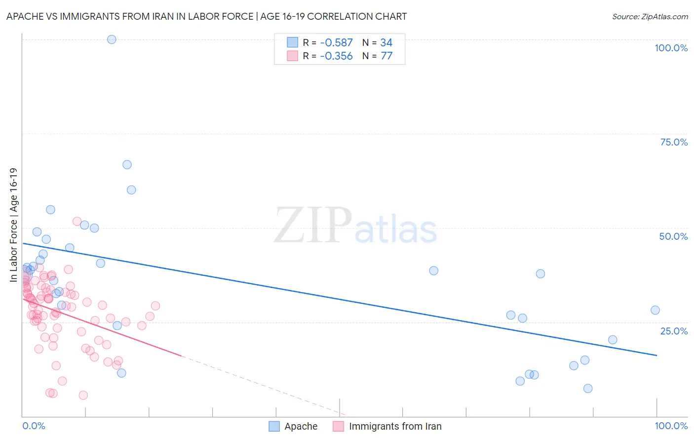 Apache vs Immigrants from Iran In Labor Force | Age 16-19