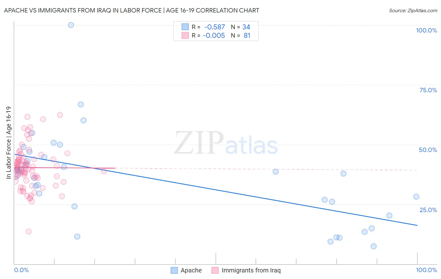 Apache vs Immigrants from Iraq In Labor Force | Age 16-19