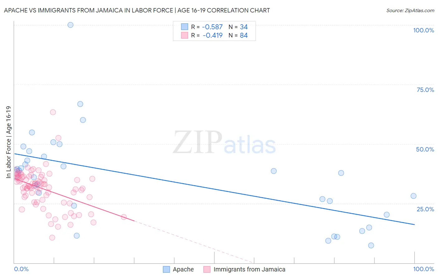 Apache vs Immigrants from Jamaica In Labor Force | Age 16-19