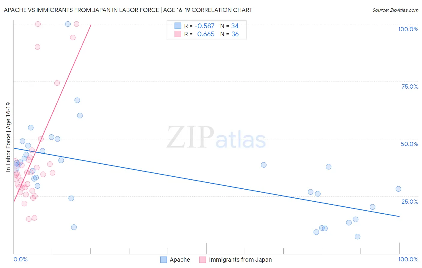 Apache vs Immigrants from Japan In Labor Force | Age 16-19