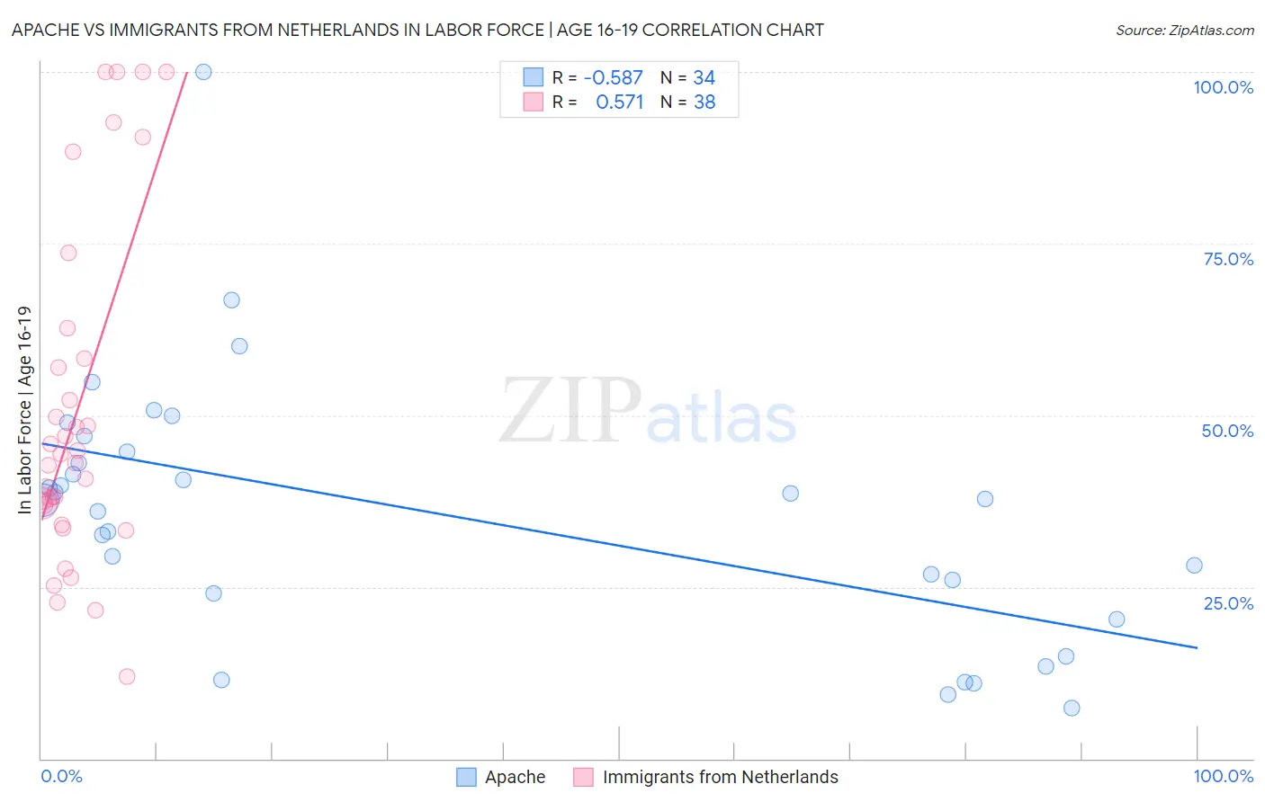 Apache vs Immigrants from Netherlands In Labor Force | Age 16-19