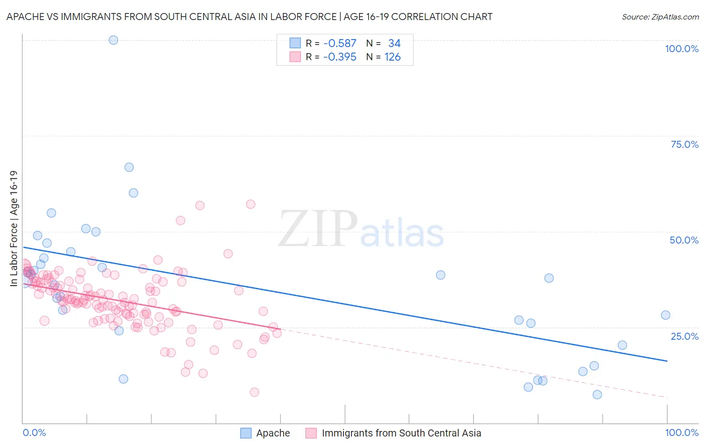 Apache vs Immigrants from South Central Asia In Labor Force | Age 16-19