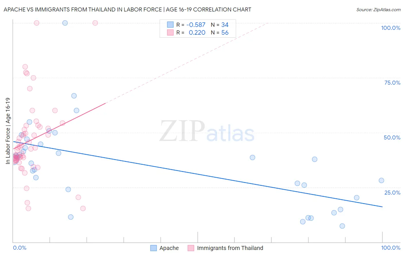 Apache vs Immigrants from Thailand In Labor Force | Age 16-19