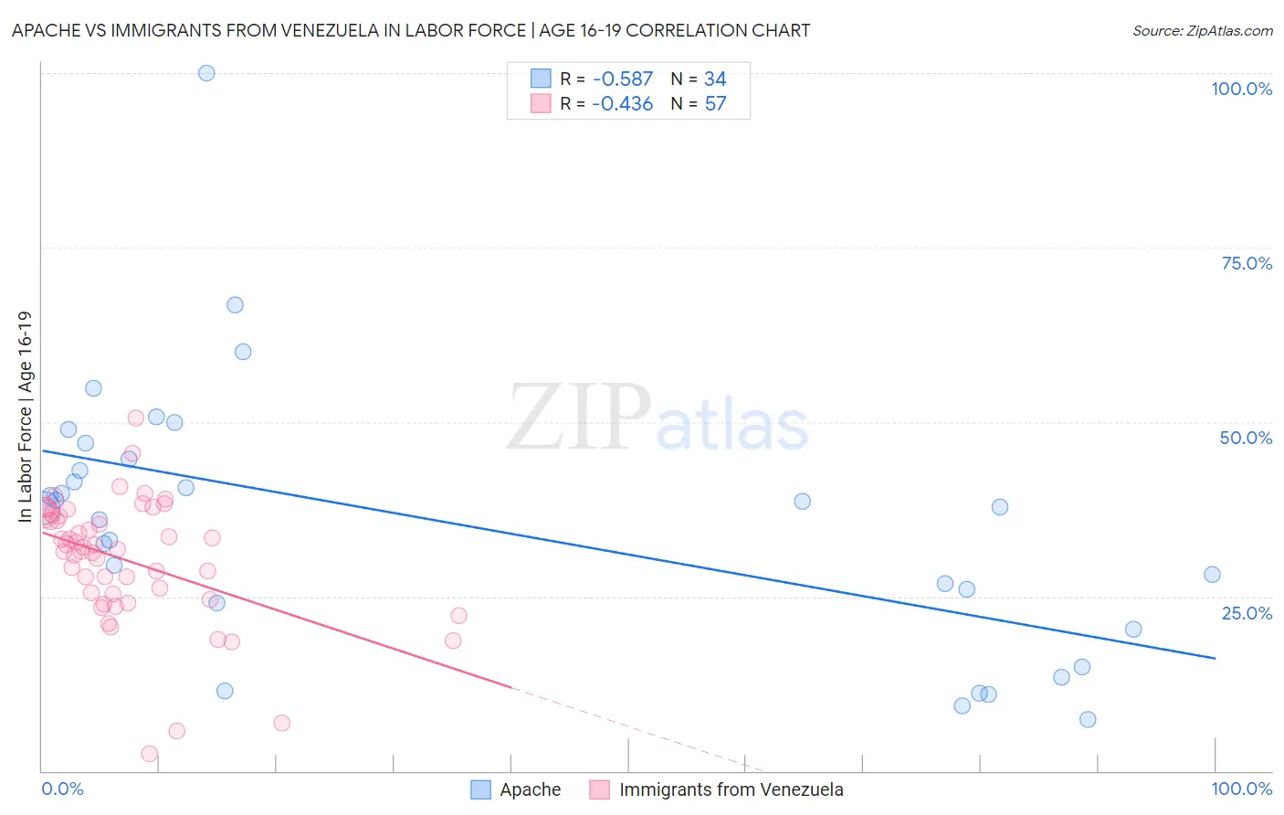 Apache vs Immigrants from Venezuela In Labor Force | Age 16-19