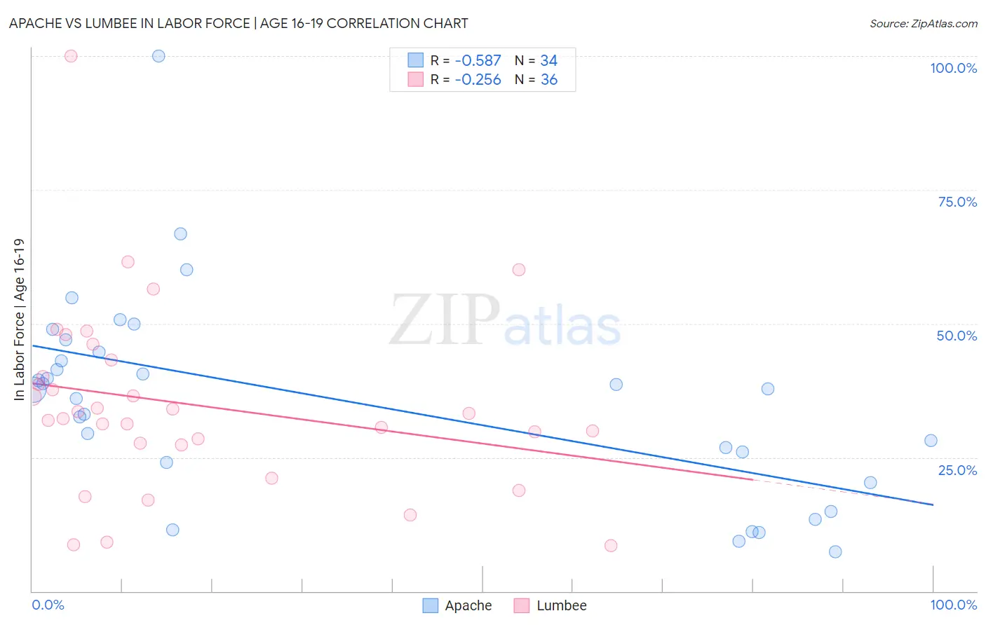 Apache vs Lumbee In Labor Force | Age 16-19