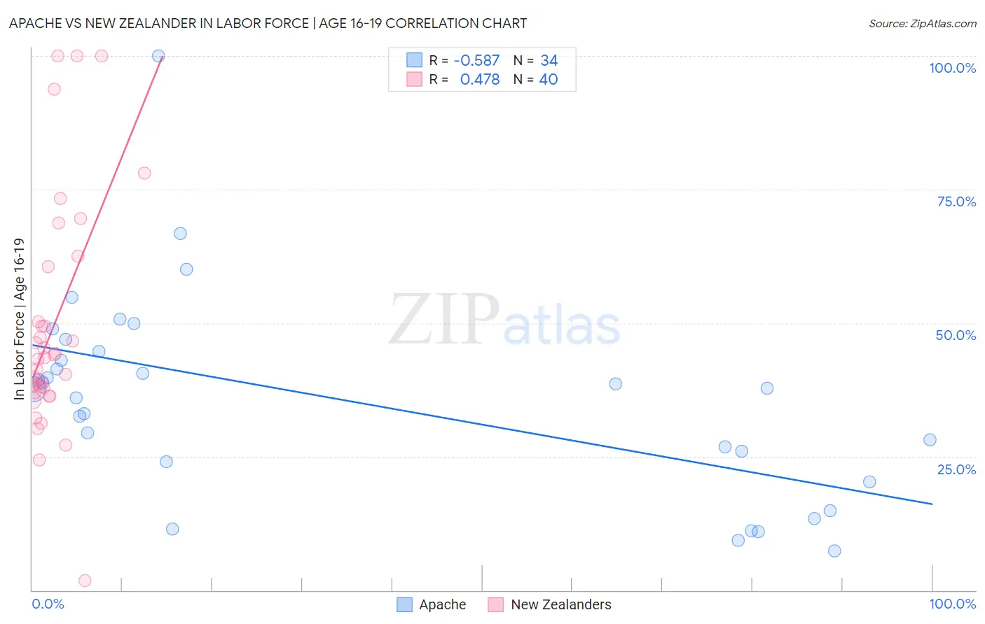 Apache vs New Zealander In Labor Force | Age 16-19