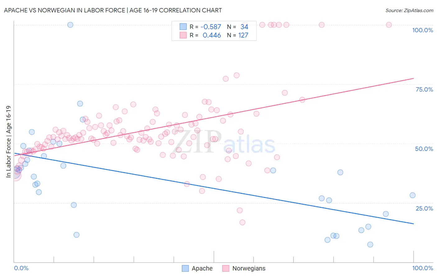 Apache vs Norwegian In Labor Force | Age 16-19