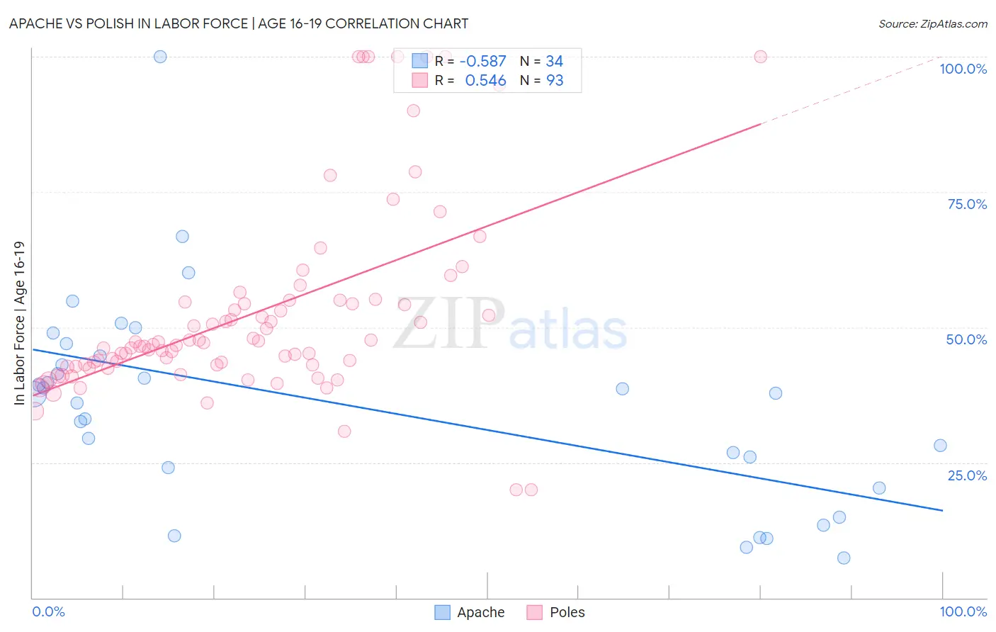 Apache vs Polish In Labor Force | Age 16-19