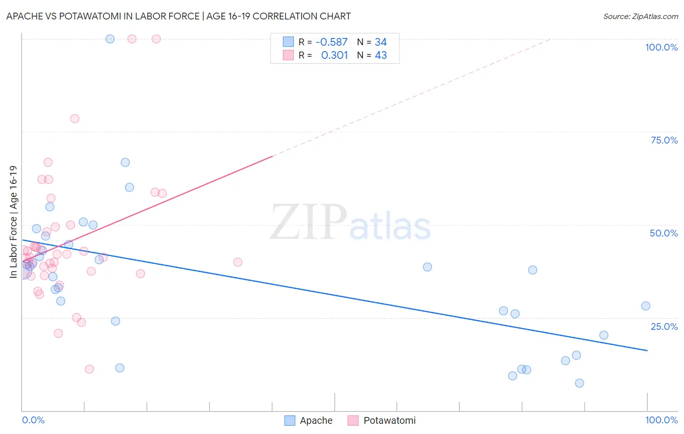 Apache vs Potawatomi In Labor Force | Age 16-19